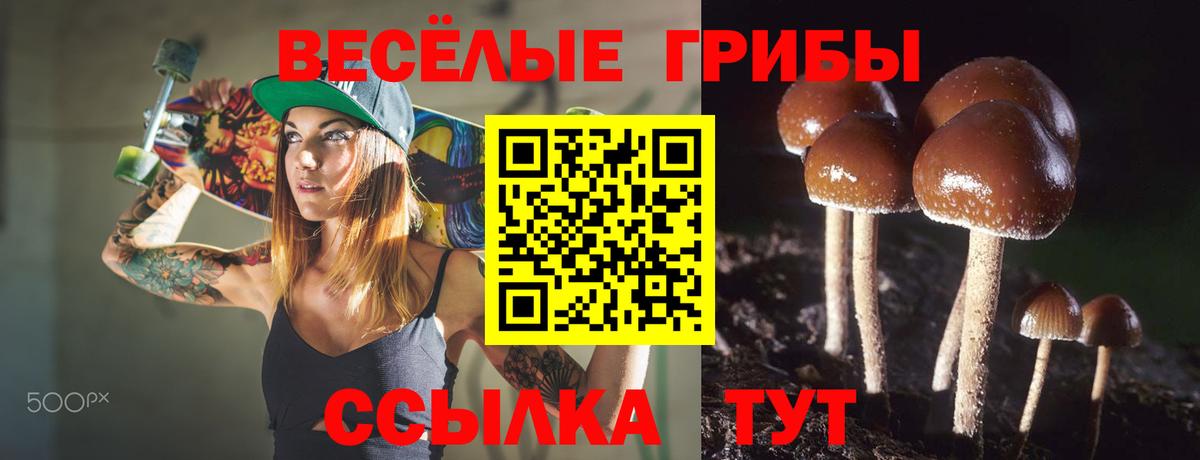 Балашов  Псилоцибиновые грибы MAGIC MUSHROOMS  Вход с VPN 